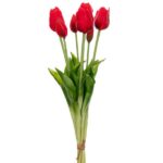 ΜΠΟΥΚΕΤΟ ΤΟΥΛΙΠΑ Χ7