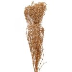 Κρεμ Μπουκέτο Γυψοφιλλη 120gr