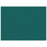 ΣΟΥΠΛΑ NEWTEX/ NONWOVEN/30X40(500ΤΕΜ)