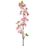 ΚΛΑΔΙ ΛΕΥΚΗ ΡΟΔΑΚΙΝΙΑ  100ΕΚ ΜΕ UV ΠΡΟΣΤΑΣΙΑ - Image 2