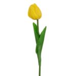 ΛΕΥΚΟ ΚΛΑΔΙ ΤΟΥΛΙΠΑ 33ΕΚ ΤΕΜΑΧΙΟ ( ΕΞΙ ΧΡΩΜΑΤΑ) - Image 5