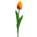 ΛΕΥΚΟ ΚΛΑΔΙ ΤΟΥΛΙΠΑ 33ΕΚ ΤΕΜΑΧΙΟ ( ΕΞΙ ΧΡΩΜΑΤΑ) - Image 7