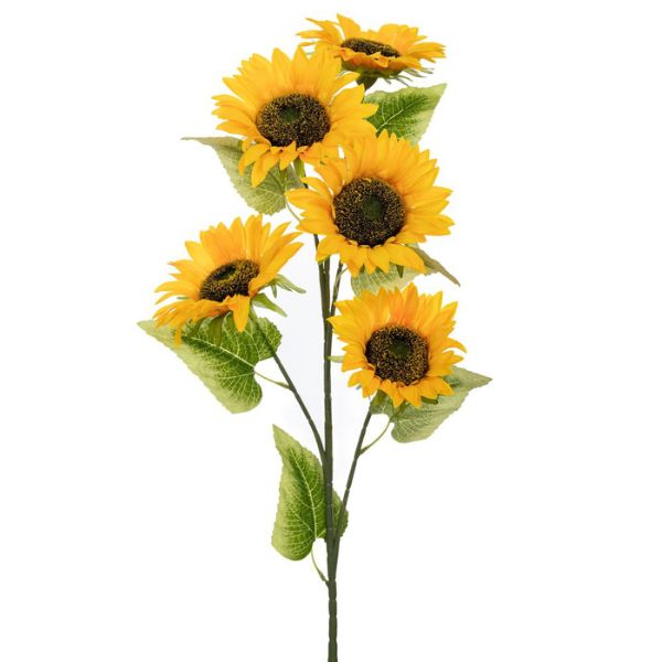 RF34906771000000022828511 - 2026-03-19T101205.259 ΚΛΑΔΙ ΗΛΙΟΣ 102ΕΚ Χ5 - Image 1