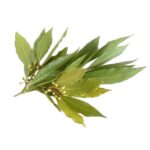Δάφνη αποξηραμένη 30g - Image 2
